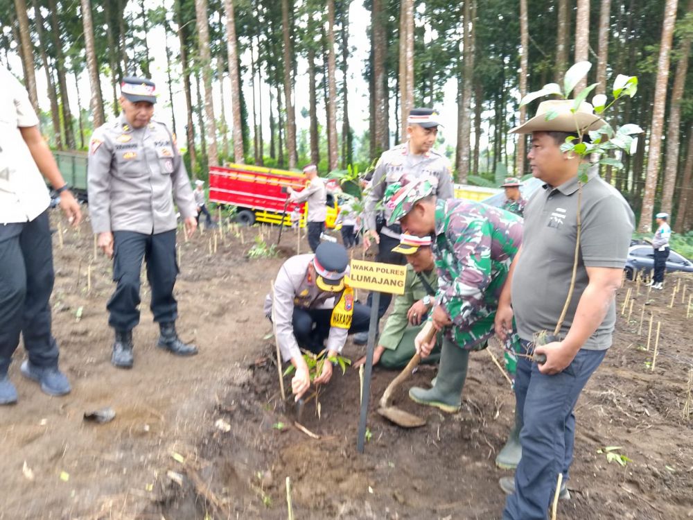Perhutani bersama stakeholder tanam pohon 