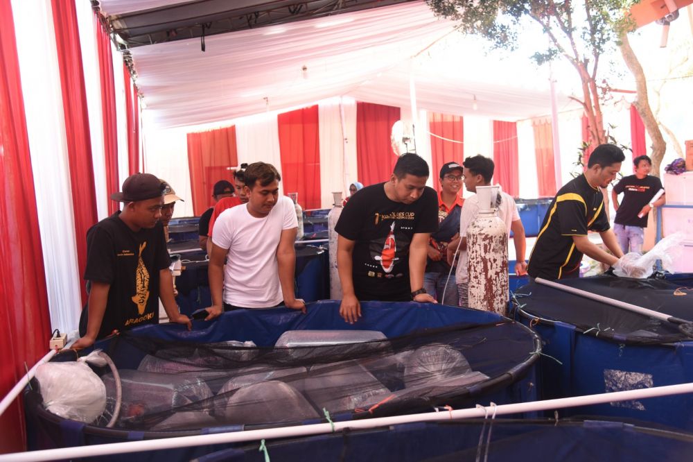 Kapolres Bondowoso AKBP Bimo Ariyanto tinjau ikan Koi yang di lombakan