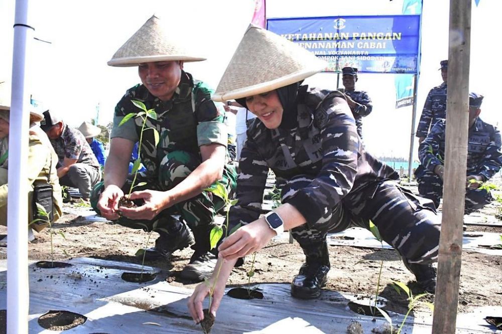 Danlanal Yogyakarta Kolonel Laut (KH/W) Dr. Devi Erlita saat tanam Cabai