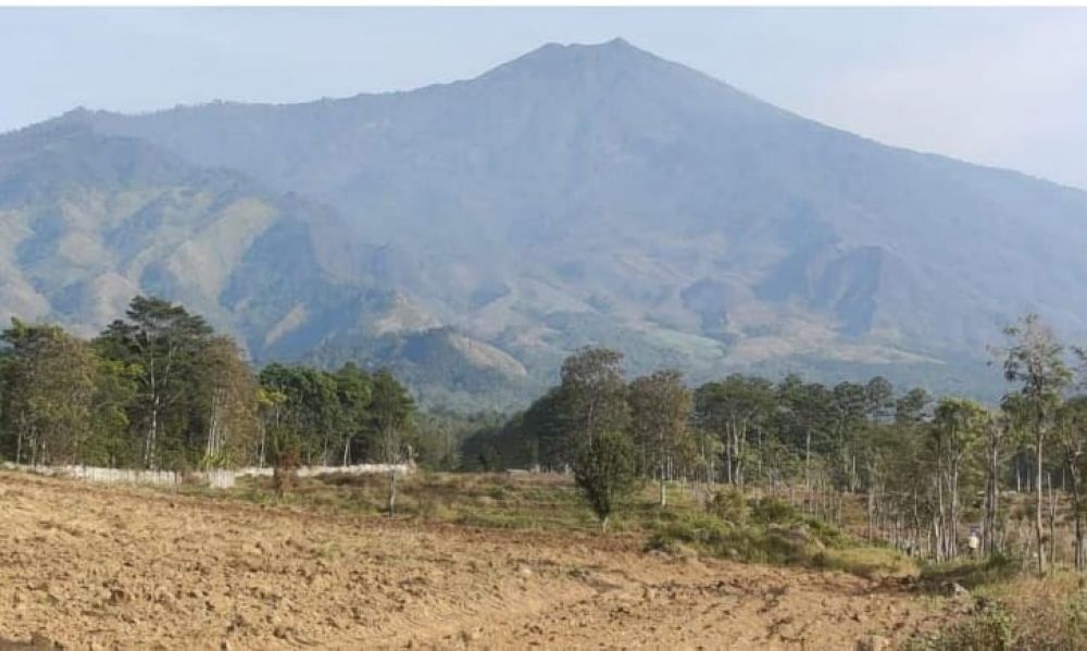 Pemandangan Gunung Arjuno