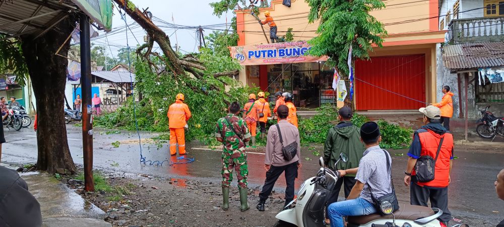 Polsek Tamanan Evakuasi Pohon Tumbang Tutupi Akses Jalan