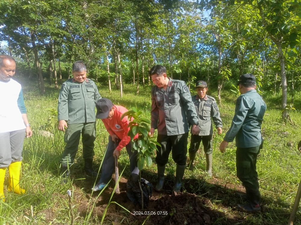 Perhutani KPH Blitar lakukan penanaman pohon