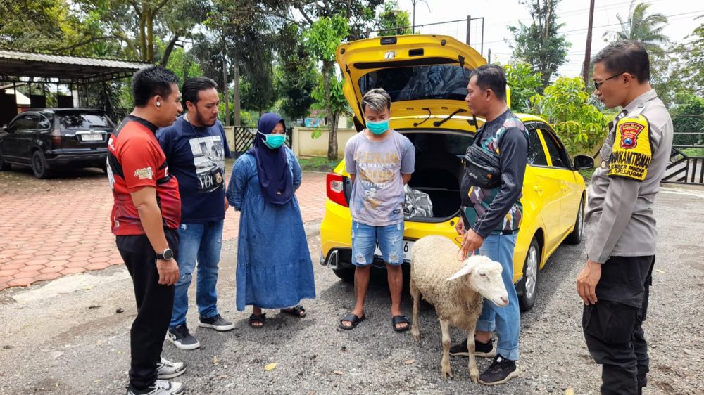 Polisi Tangkap Pasutri Curhewan Kambing dengan Mobil Mewah