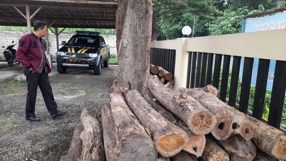 Polsek Klabang amankan log kayu jati ilegal logging