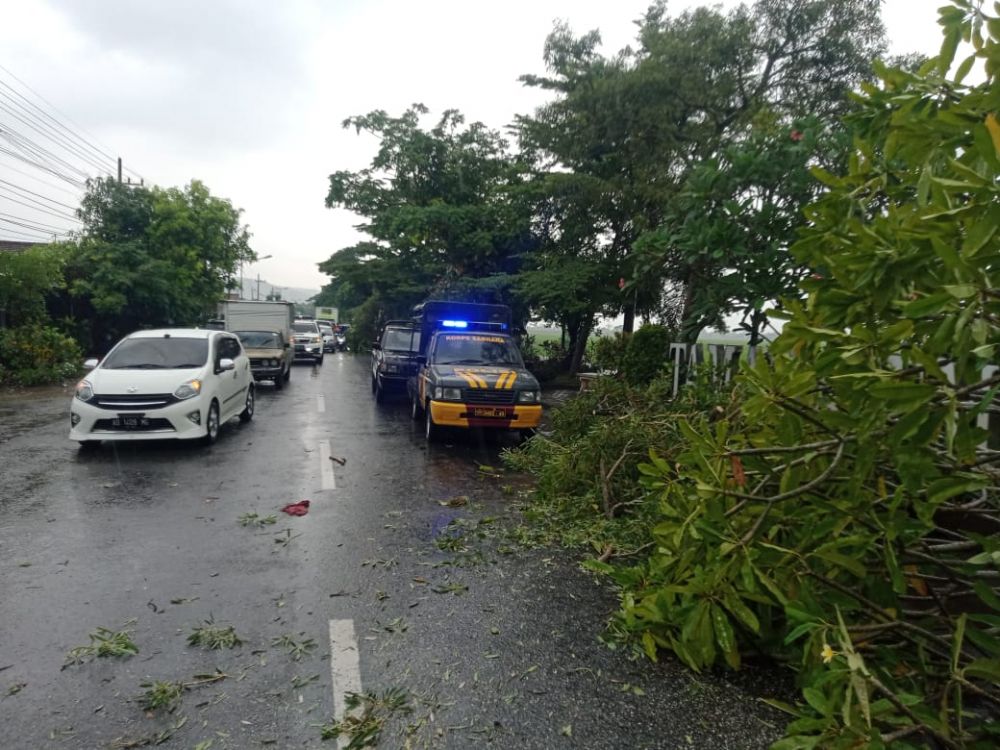 Polisi bersama warga evakuasi pohon tumbang