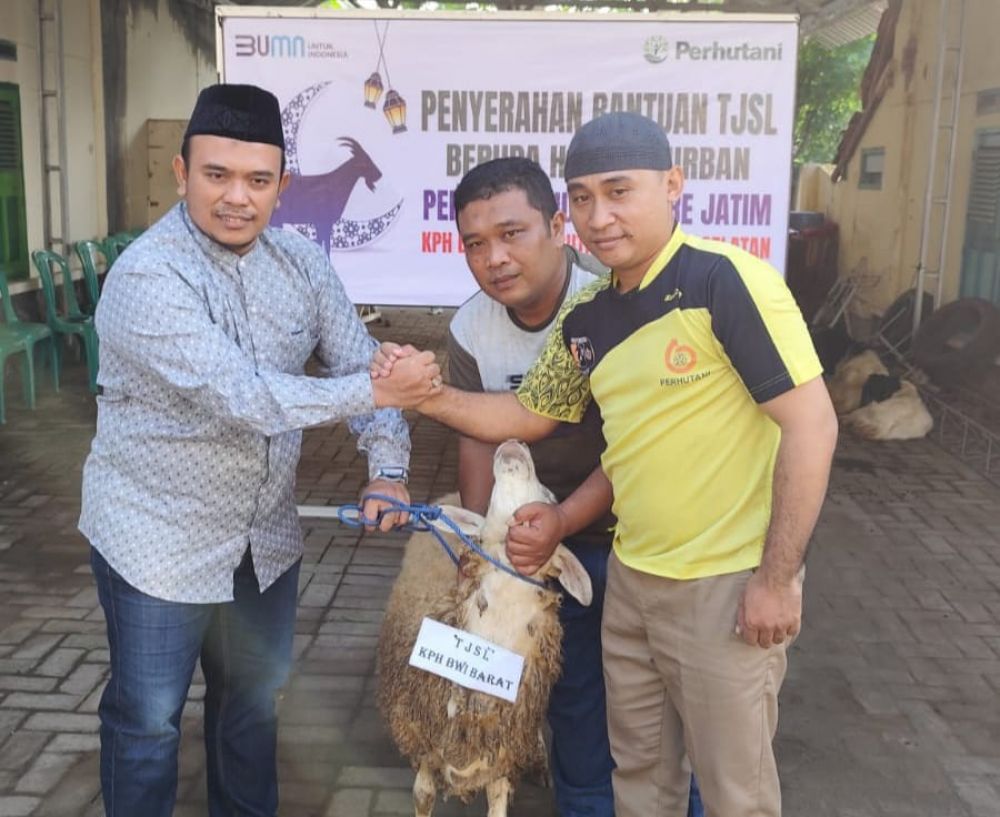 Perhutani KPH Banyuwangi Barat serahkan hewan Qurban 