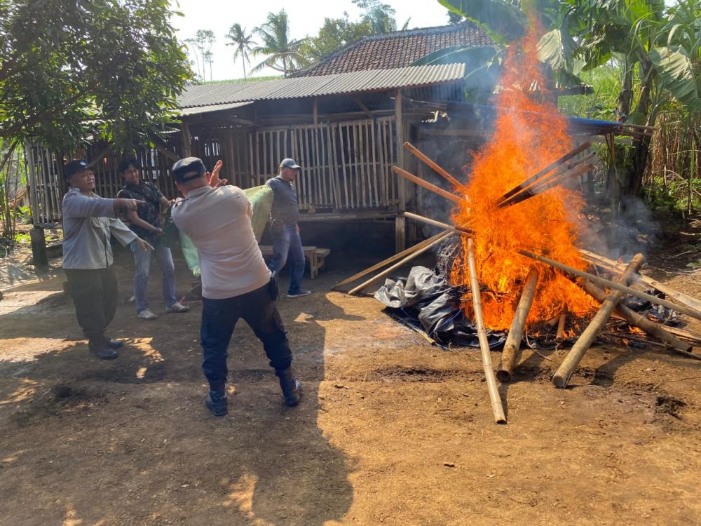 Polres Malang bongkar dan musnahkan arena sabung ayam 