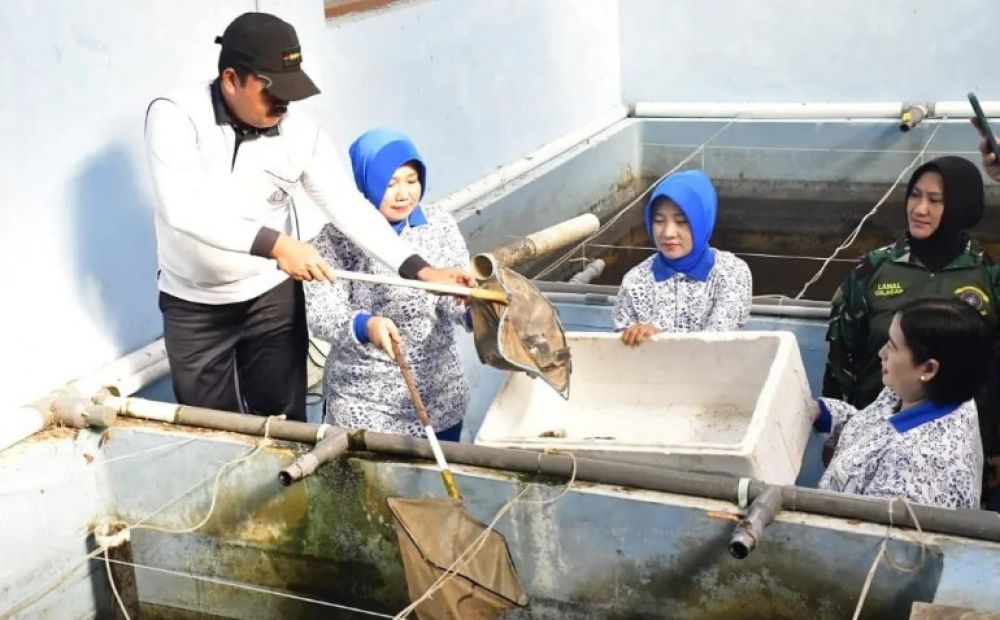 Danlanal Cilacap Kolonel Laut (PM) Sugeng Subagyo saat panen Ikan Nila