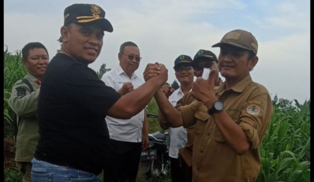 Perhutani KPH Banyuwangi Barat lakukan penanaman pohon