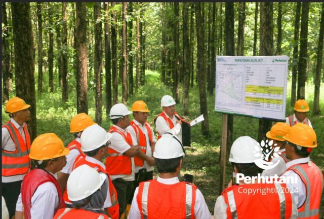 Perhutani Terima Kunjungan Tim Asdep IPK, Kementerian BUMN Cek Pengelolaan Hutan di Jatim